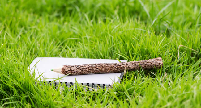 ÜLKEMİZİN MUTLULUĞU İÇİN GÜVENLİ ÇALIŞMAYI SEÇİN

ERYILMAZ GROUP OSGB